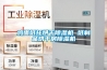 雞蛋紙托烘干除濕機(jī) 紙制品烘干房除濕機(jī)