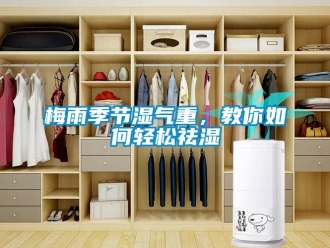 常見問題梅雨季節(jié)濕氣重，教你如何輕松祛濕