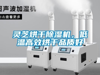 行業(yè)新聞靈芝烘干除濕機(jī)，低溫高效烘干品質(zhì)好