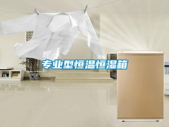 知識(shí)百科專業(yè)型恒溫恒濕箱