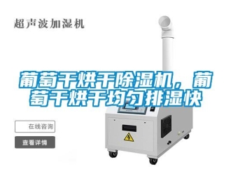 行業(yè)新聞葡萄干烘干除濕機(jī)，葡萄干烘干均勻排濕快