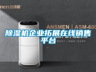 常見問題除濕機(jī)企業(yè)拓展在線銷售平臺(tái)