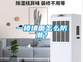 常見問題一樓墻面怎么防潮？