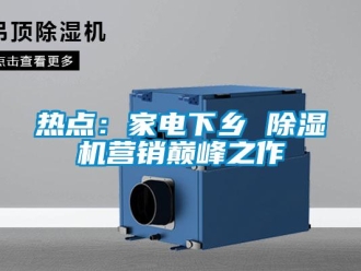 行業(yè)新聞熱點(diǎn)：家電下鄉(xiāng) 除濕機(jī)營銷巔峰之作