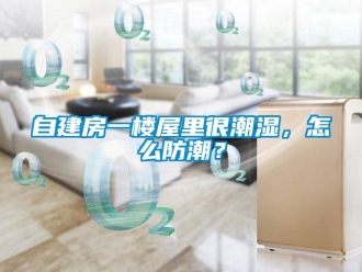 常見問題自建房一樓屋里很潮濕，怎么防潮？