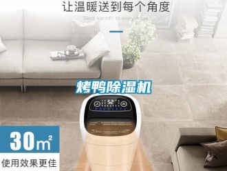 行業(yè)新聞烤鴨除濕機