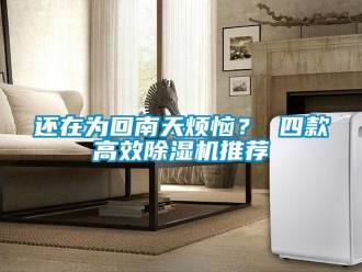 行業(yè)新聞還在為回南天煩惱？ 四款高效除濕機(jī)推薦