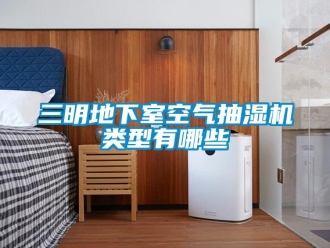 企業(yè)新聞三明地下室空氣抽濕機(jī)類(lèi)型有哪些