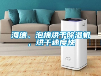 行業(yè)新聞海綿、泡棉烘干除濕機(jī)，烘干速度快