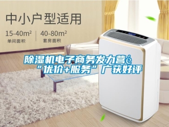 企業(yè)新聞除濕機(jī)電子商務(wù)發(fā)力營(yíng)銷(xiāo)“優(yōu)價(jià)+服務(wù)”廣獲好評(píng)
