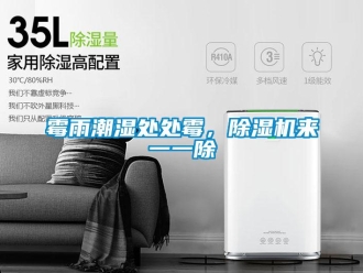 行業(yè)新聞霉雨潮濕處處霉，除濕機(jī)來一一除
