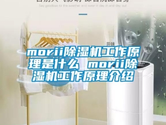 企業(yè)新聞morii除濕機(jī)工作原理是什么 morii除濕機(jī)工作原理介紹