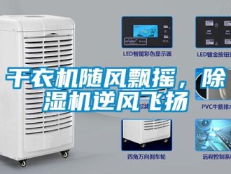 企業(yè)新聞干衣機(jī)隨風(fēng)飄搖，除濕機(jī)逆風(fēng)飛揚(yáng)