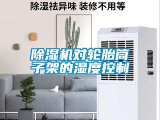 企業(yè)新聞除濕機(jī)對(duì)輪胎筒子架的濕度控制