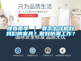 常見問題晚春雨季 ｜ 要怎么守護(hù)好我們的家具？做好防潮工作？