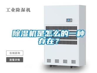 常見(jiàn)問(wèn)題除濕機(jī)是怎么的一種存在？