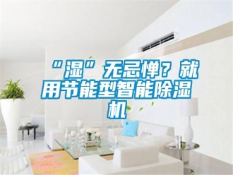 常見(jiàn)問(wèn)題“濕”無(wú)忌憚？就用節(jié)能型智能除濕機(jī)