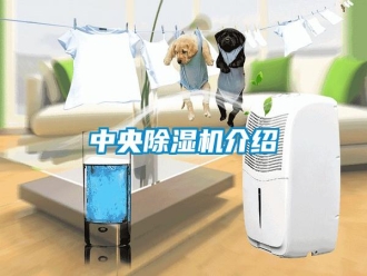 知識百科中央除濕機介紹