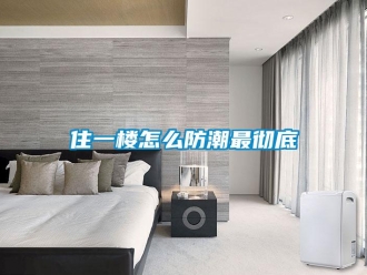 常見(jiàn)問(wèn)題住一樓怎么防潮最徹底