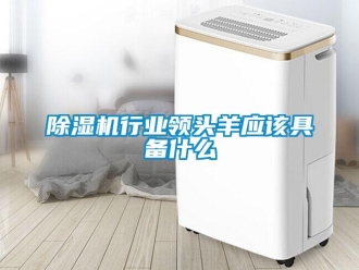 企業(yè)新聞除濕機(jī)行業(yè)領(lǐng)頭羊應(yīng)該具備什么