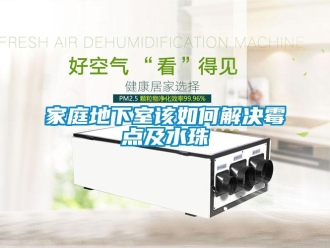 常見問題家庭地下室該如何解決霉點及水珠