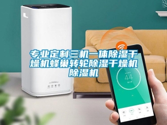 常見問題專業(yè)定制三機一體除濕干燥機蜂巢轉輪除濕干燥機除濕機