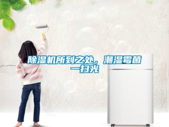 企業(yè)新聞除濕機(jī)所到之處，潮濕霉菌一掃光