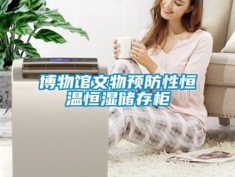 知識百科博物館文物預(yù)防性恒溫恒濕儲存柜
