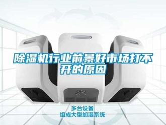 企業(yè)新聞除濕機(jī)行業(yè)前景好市場(chǎng)打不開(kāi)的原因