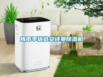 企業(yè)新聞梅雨季優(yōu)選安詩曼除濕機