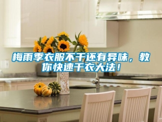 行業(yè)新聞梅雨季衣服不干還有異味，教你快速干衣大法！