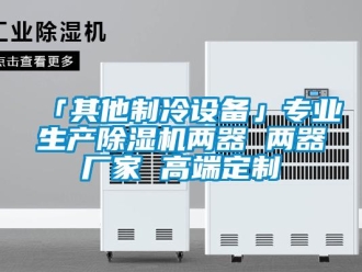企業(yè)新聞「其他制冷設(shè)備」專業(yè)生產(chǎn)除濕機(jī)兩器 兩器廠家 高端定制