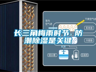 知識百科長三角梅雨時(shí)節(jié) 防潮除濕是關(guān)鍵