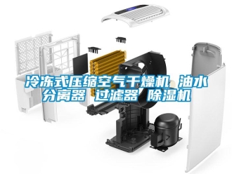 行業(yè)新聞冷凍式壓縮空氣干燥機 油水分離器 過濾器 除濕機