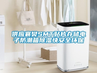 常見(jiàn)問(wèn)題供應(yīng)襄樊SMT貼片存儲(chǔ)電子防潮箱除濕快安全環(huán)保