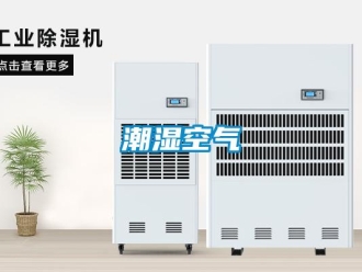 企業(yè)新聞潮濕空氣
