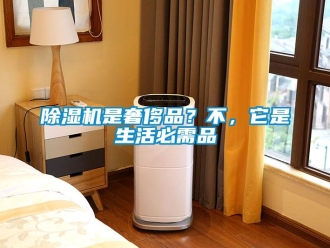 企業(yè)新聞除濕機(jī)是奢侈品？不，它是生活必需品
