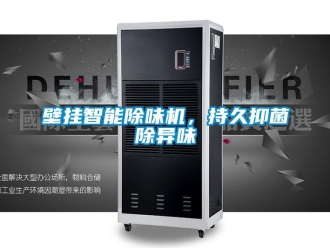常見問(wèn)題壁掛智能除味機(jī)，持久抑菌除異味