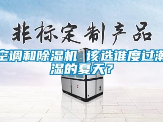 行業(yè)新聞空調和除濕機 該選誰度過潮濕的夏天？