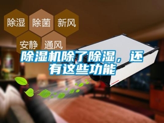企業(yè)新聞除濕機(jī)除了除濕，還有這些功能