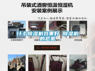 行業(yè)新聞什么除濕機(jī)效果好 除濕機(jī)的危害