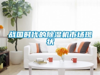 知識(shí)百科戰(zhàn)國(guó)時(shí)代的除濕機(jī)市場(chǎng)現(xiàn)狀