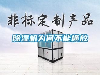 企業(yè)新聞除濕機(jī)為何不能橫放