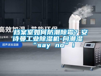 企業(yè)新聞檔案室如何防潮除霉？安詩曼工業(yè)除濕機-向潮濕“say no”！