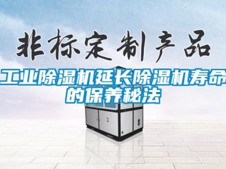 企業(yè)新聞工業(yè)除濕機延長除濕機壽命的保養(yǎng)秘法