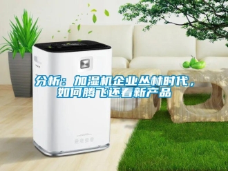 常見問題分析：加濕機(jī)企業(yè)叢林時(shí)代，如何騰飛還看新產(chǎn)品
