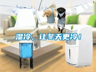 知識(shí)百科濕冷，讓冬天更冷！