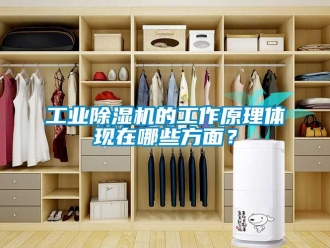 企業(yè)新聞工業(yè)除濕機的工作原理體現(xiàn)在哪些方面？