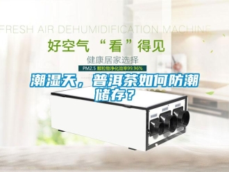 常見(jiàn)問(wèn)題潮濕天，普洱茶如何防潮儲(chǔ)存？