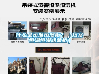 知識百科什么是恒溫恒濕柜？（檔案恒溫恒濕儲藏柜）